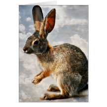 Coelho Praying nos céus