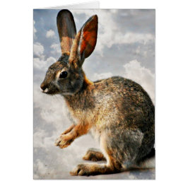 Cartão Coelho Praying nos céus