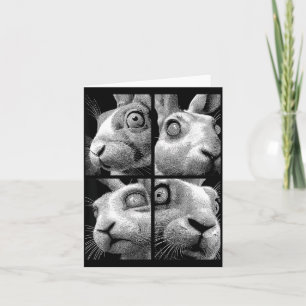 Cartão Coelhos Hipnóticos Olhos Estranhos Esquisitos Weir