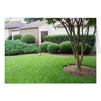 Cartão Coelhos tocando relva