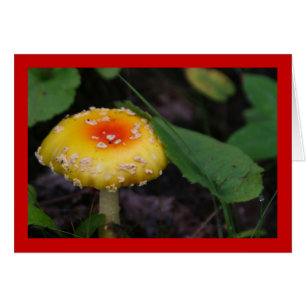 Cartão Cogumelo Amarelo Incrível