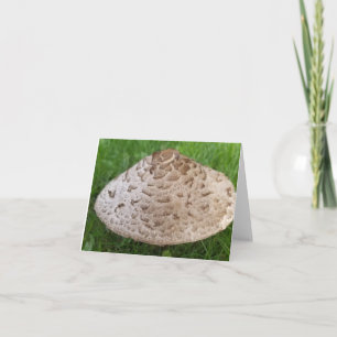 Cartão Cogumelo na grama