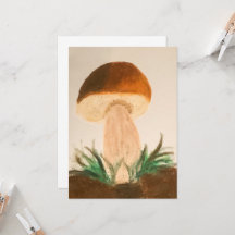 Cogumelo Porcini