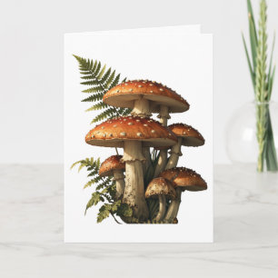 Cartão Cogumelos Amanita Vermelhos com Samambaia Botânica