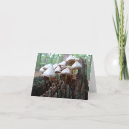 Cartão Cogumelos em um coto velho Notecard