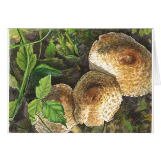 Cartão Cogumelos sempre atraentes aos olhos das olhares