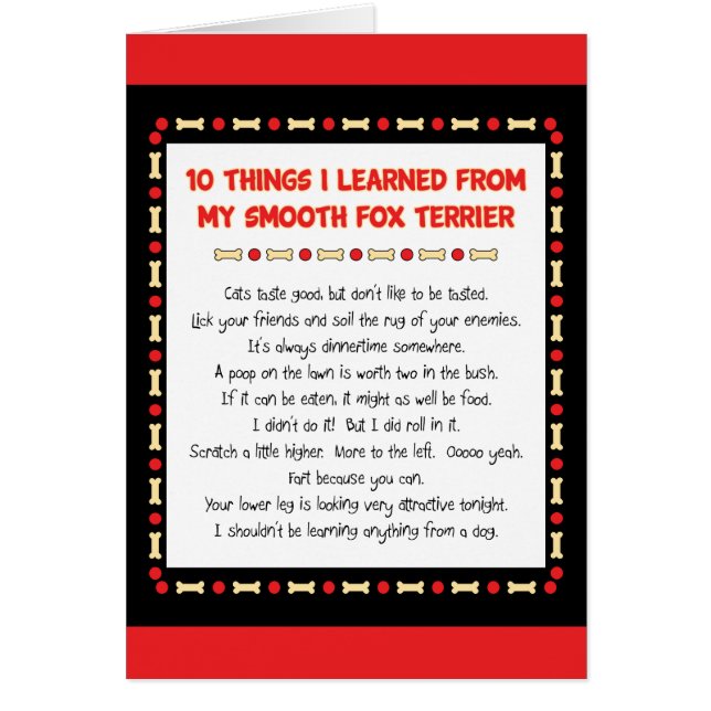 Cartão Coisas que engraçadas eu aprendi de meu Fox (Frente)