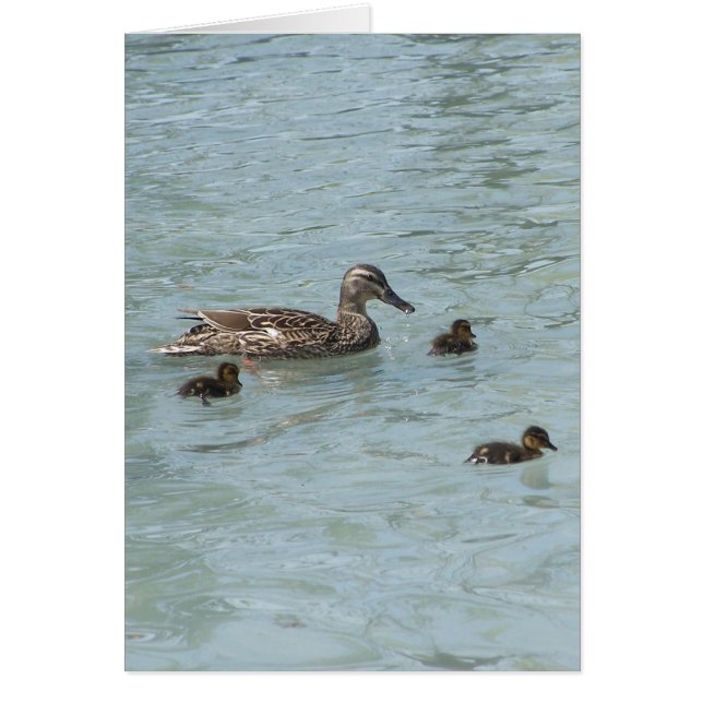 Cartão Coisas Que Flutuam (Frente)