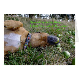 Cartão Coisas tolas