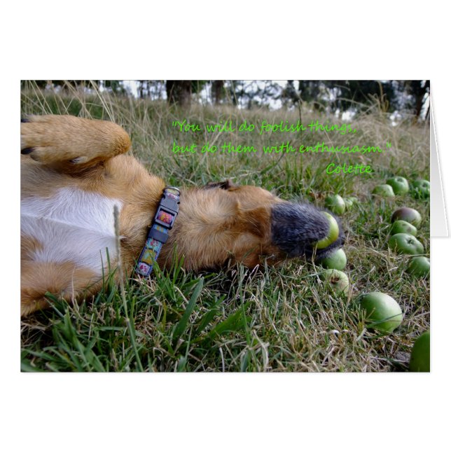 Cartão Coisas tolas (Frente horizontal)