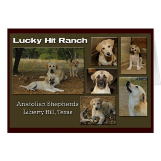 Cartão colagem afortunada da batida