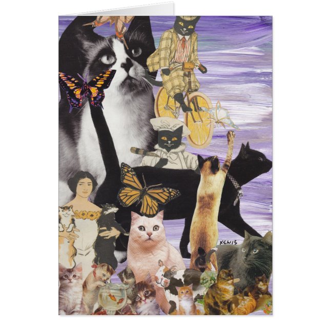 Cartão Colagem bonito 4 do gato (Frente)