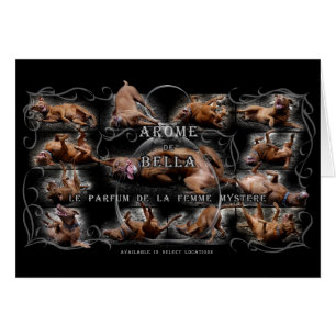 Cartão Colagem de Cachorros Feliz de Chocolate Colado