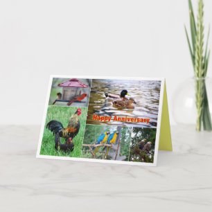 Cartão Colagem de Casais de Pássaros Feliz Aniversário