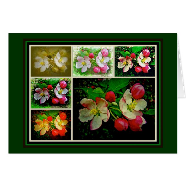 Cartão Colagem de Flores de Maçã - Foto Digital Avançada (Frente Horizontal)