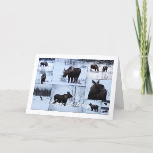 Cartão Colagem de Moose; Feliz aniversário