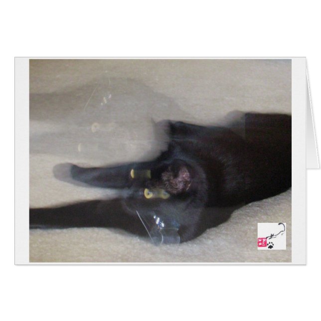 Cartão Cole - Movimento (Frente Horizontal)