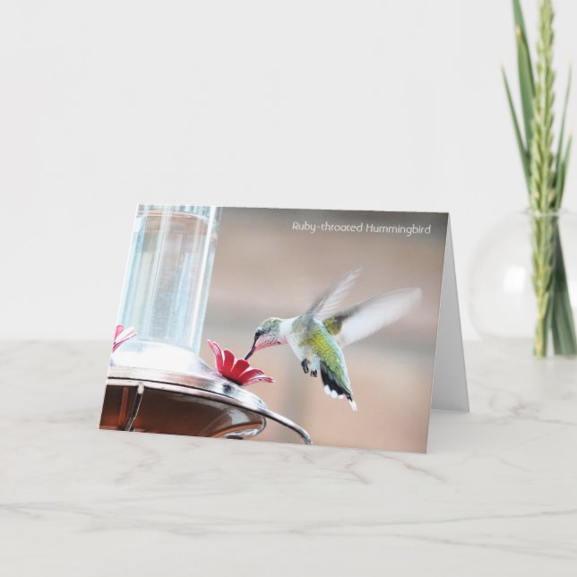 Cartão Coleção de Aves: Hummingbird (notas de vazio) (Frente)