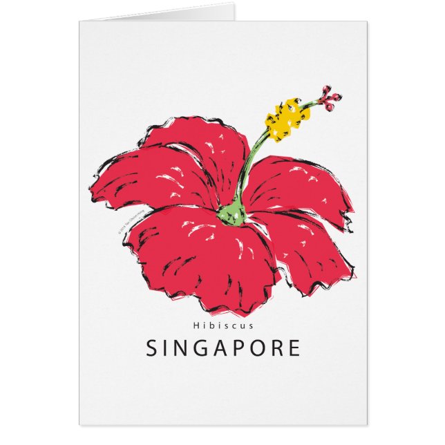 CARTÃO COLEÇÃO DE HIBISCUS SINGAPURA (Frente)