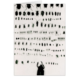 Cartão Coleção do inseto de Darwin