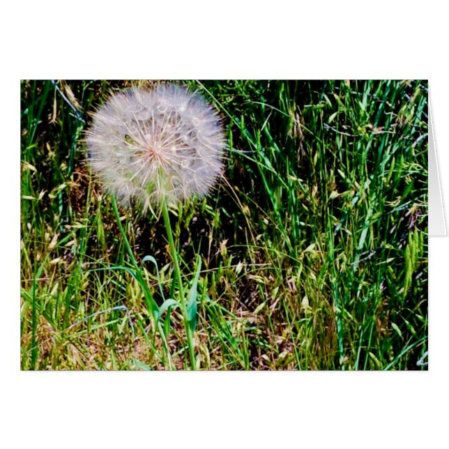 Cartão Coleção "Fazer um Desejo" (Frente Horizontal)