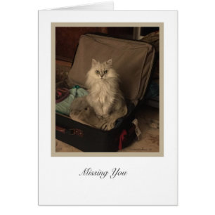 Cartão Coleção KiKi