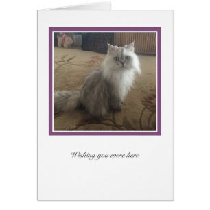 Cartão Coleção KiKi # 1