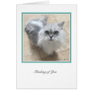 Cartão Coleção KiKi # 2