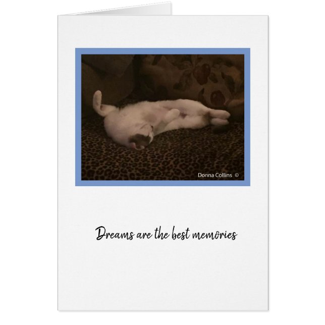 Cartão Coleção KiKi nº 2 (Frente)