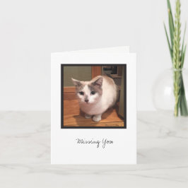 Cartão Coleção Kit nº 1