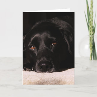 Cartão Cole's greeting card