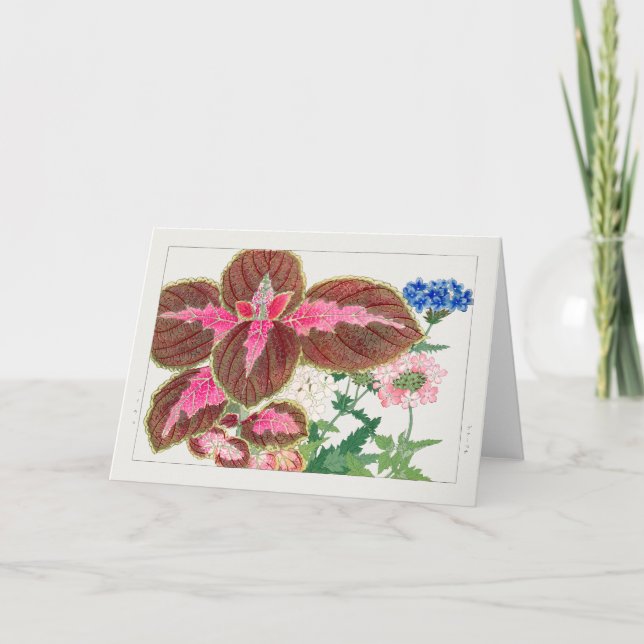 Cartão Coleus, Verbena, de Tanigami Konan (Frente)