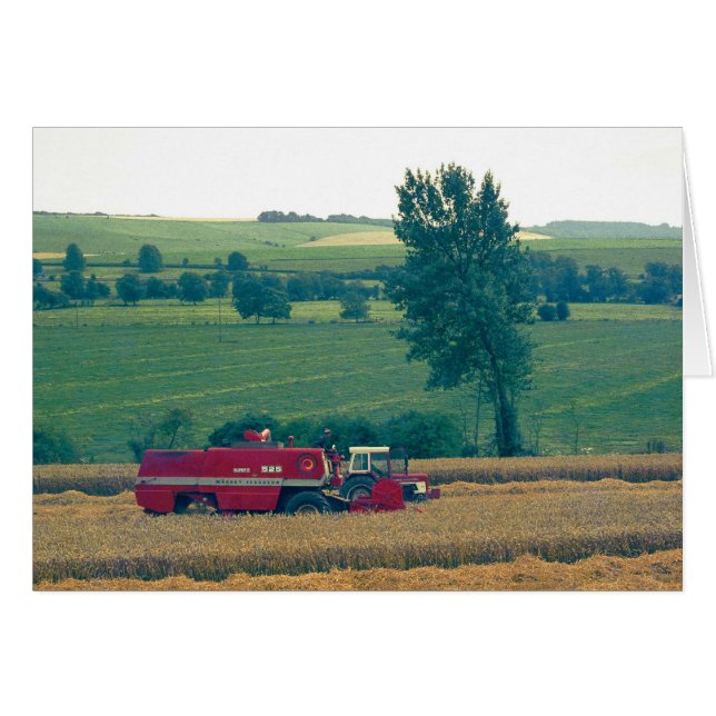 Cartão Colheita (Frente Horizontal)