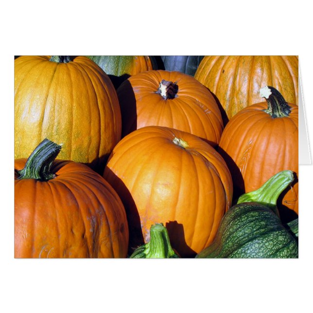 Cartão Colheita da abóbora (Frente Horizontal)