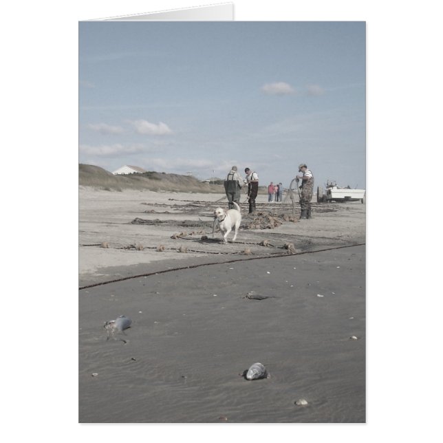 Cartão Colheita de outono (Frente)