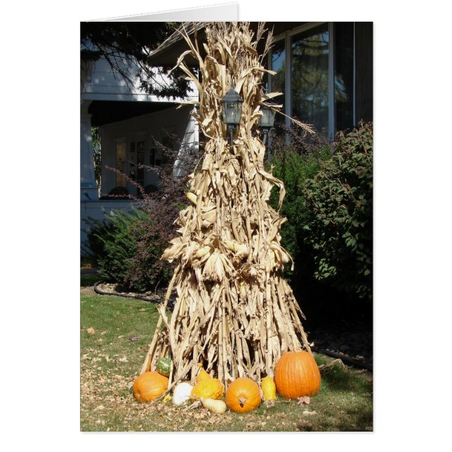 Cartão Colheita de Posto leve (Frente)