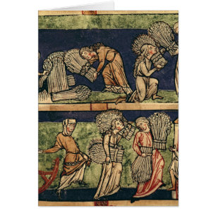 Cartão Colhendo, escola de Rhine