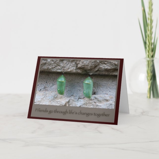 Cartão Colheres de Borboleta Amigos (Frente)