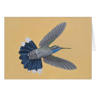 Cartão colibri Azul-throated