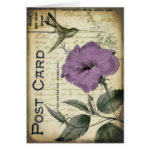 Cartão Colibri do hibiscus do vintage