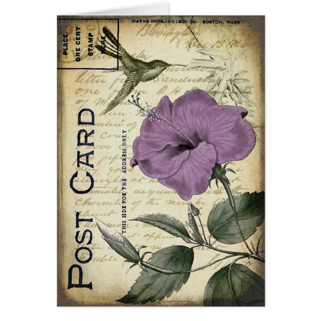 Cartão Colibri do hibiscus do vintage (Frente)