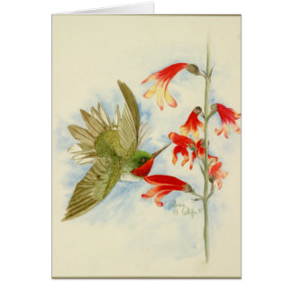 Cartão Colibri e flores vermelhas