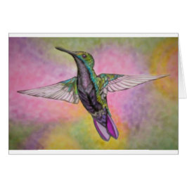 Cartão Colibri pequeno