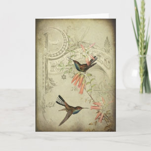 Cartão Colibris do vintage