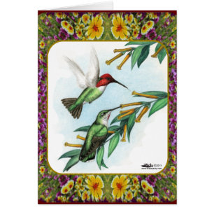 Cartão Colibris e flores #4