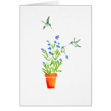 Colibris na lavanda