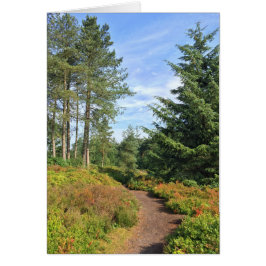 Cartão Colinas de Lickey