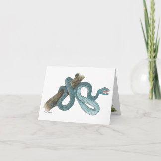 Cartão Collection Austrailian  snake Note Card