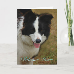 Cartão Collie, bem-vindo a casa. Fico feliz que esteja em