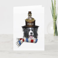 Collie Ditzy de Dogs~Original Notecard~Border